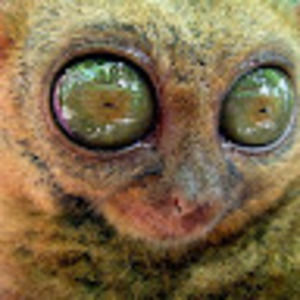 Meet your Posher, Clara